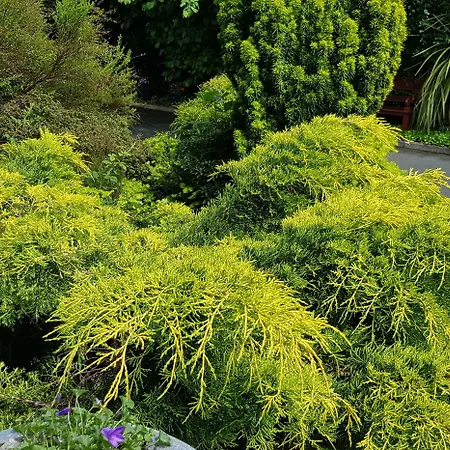 Church View House F56h977 4* Gorteen (Sligo)