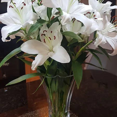 Church View House F56h977 4* Gorteen (Sligo)