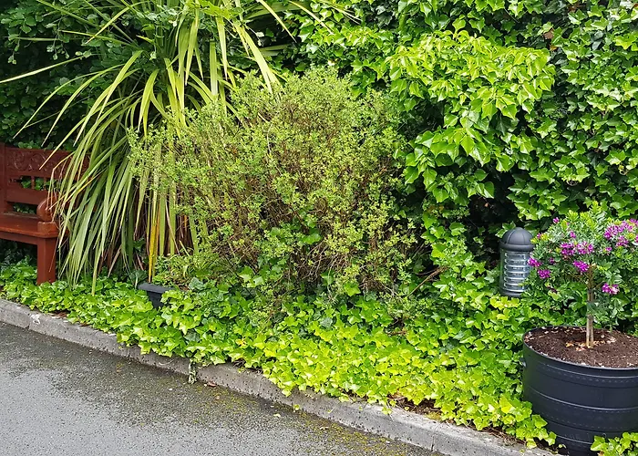 Bed & Breakfast Church View House F56h977