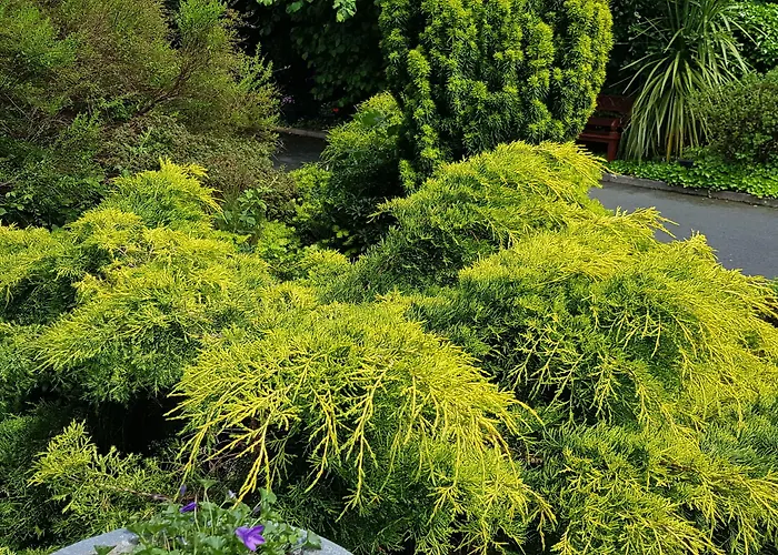 Church View House F56h977 4* Gorteen (Sligo)