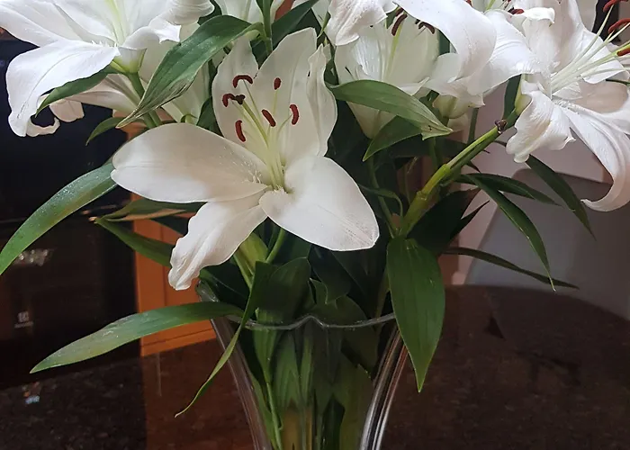 Church View House F56h977 4* Gorteen (Sligo)